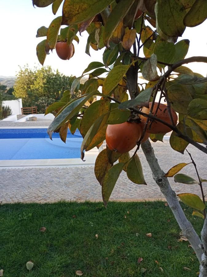 Monte Papa Figos Villa Malhao  Dış mekan fotoğraf