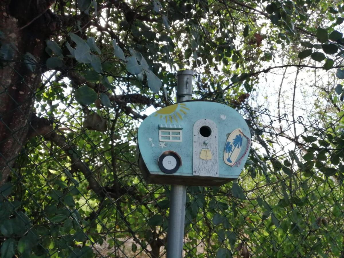 Monte Papa Figos Villa Malhao  Dış mekan fotoğraf